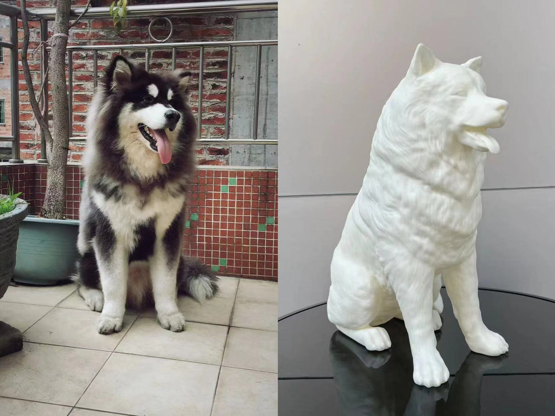 Pet 3D Printing Model