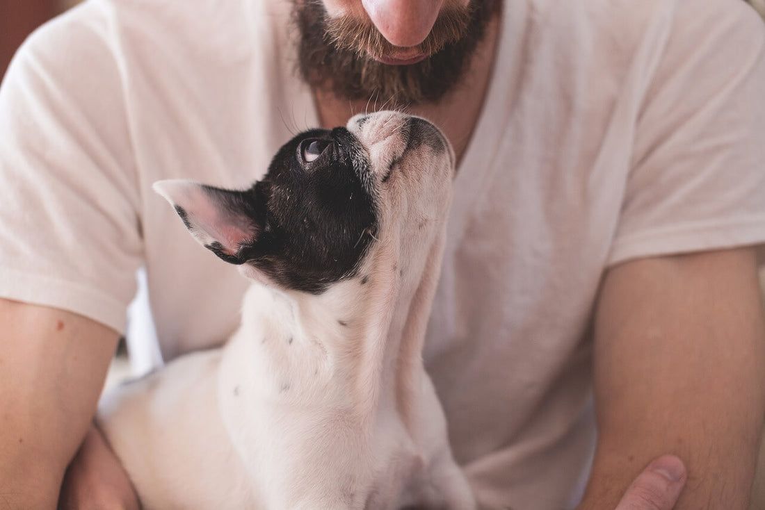 pet souvenir