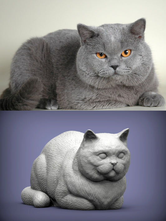 Pet 3D modeling