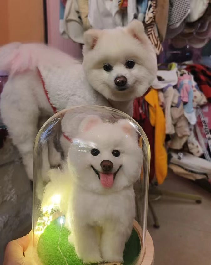 pet souvenirs