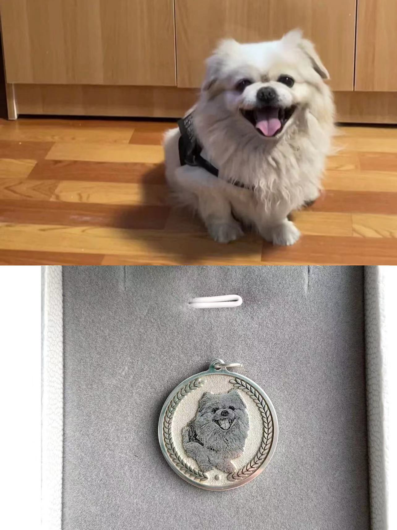 pet necklace